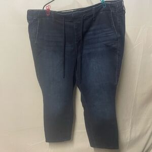 Torrid Jean Joggers